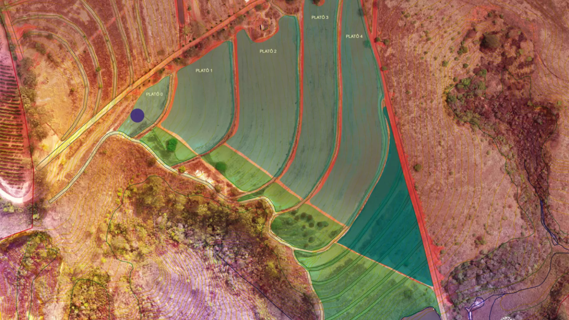 Foto B Áreas ou glebas com rotação de culturas e grãos - SAF 2 (detalhe).