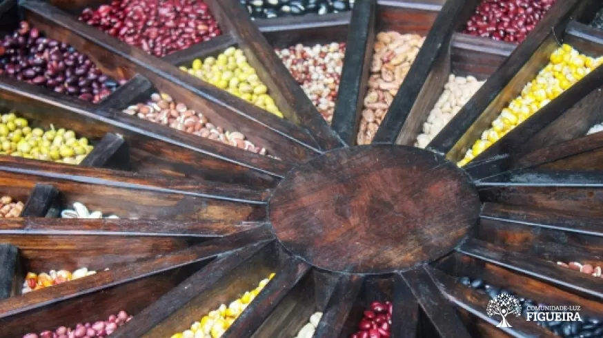 XI Feast of Organic and Biodynamic Seeds of the South of Minas in the Light Community of Figueira: exchange of seeds and experiences
