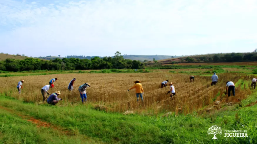 May 12: International Plant Health Day