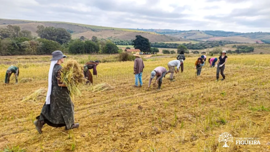 Trabajo grupal del Sector de Plantación en las Tierras del Sol: una experiencia de fraternidad 
